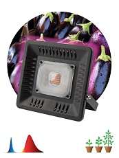 Прожектор светодиодный ЭРА 50W 1370K Fito-50W-Led Б0039033 1
