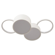 Потолочный светодиодный светильник Loft IT Pin 10317/4 White 2