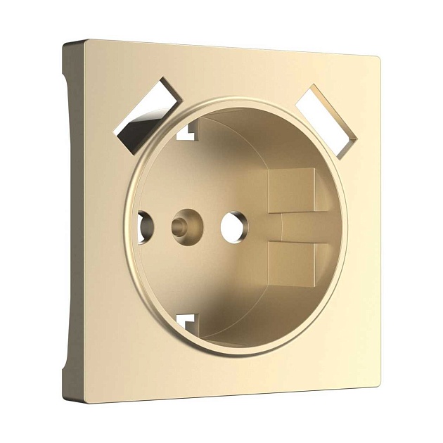 Накладка для розетки USB Werkel шампань W1179511 4690389157462 изображение 1 Накладка для розетки USB Werkel шампань W1179511 4690389157462 Фото № 1