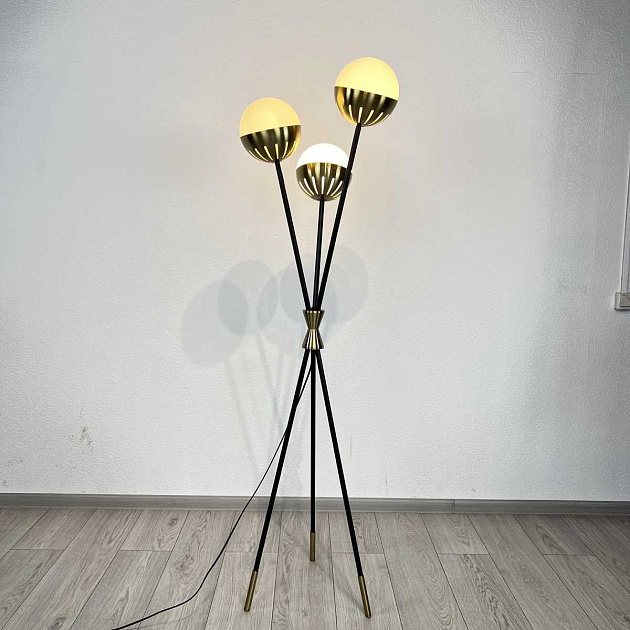 Торшер Imperium Loft Caracas 102220-22 изображение 6 Торшер Imperium Loft Caracas 102220-22 Фото № 6