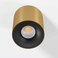 Потолочный светодиодный светильник Elektrostandard Primo 25116/LED a069413 1