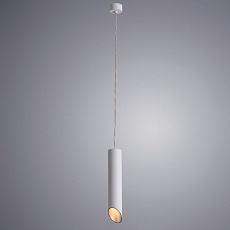 Подвесной светильник Arte Lamp Pilon-Silver A1536SP-1WH 2