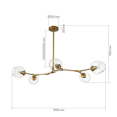 Подвесная люстра Evoluce Rametto SLE154823-05 2