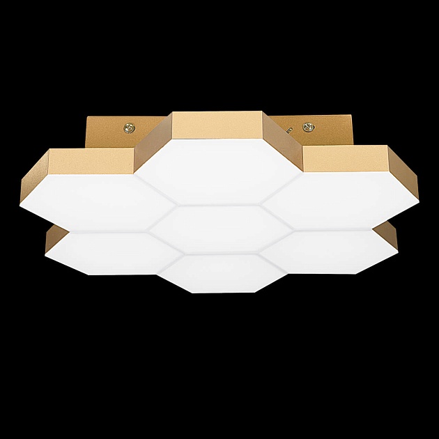 Потолочный светодиодный светильник Lightstar Favo 750071 изображение 2 Потолочный светодиодный светильник Lightstar Favo 750071 Фото № 2