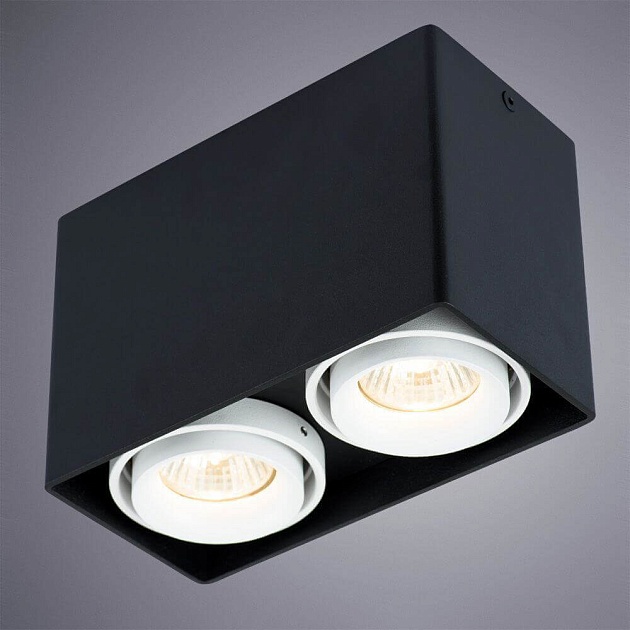 Потолочный светильник Arte Lamp A5655PL-2BK изображение 2 Потолочный светильник Arte Lamp A5655PL-2BK Фото № 2