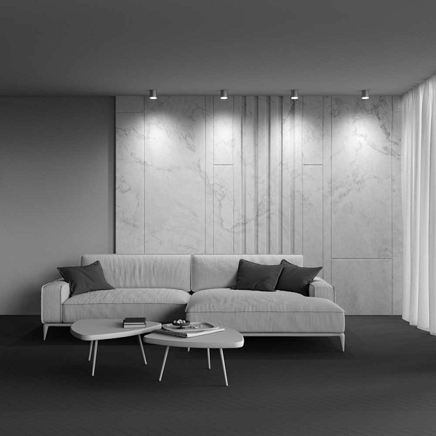 Потолочный светильник Maytoni Technical Polar C088CL-GX53-S изображение 2 Потолочный светильник Maytoni Technical Polar C088CL-GX53-S Фото № 2