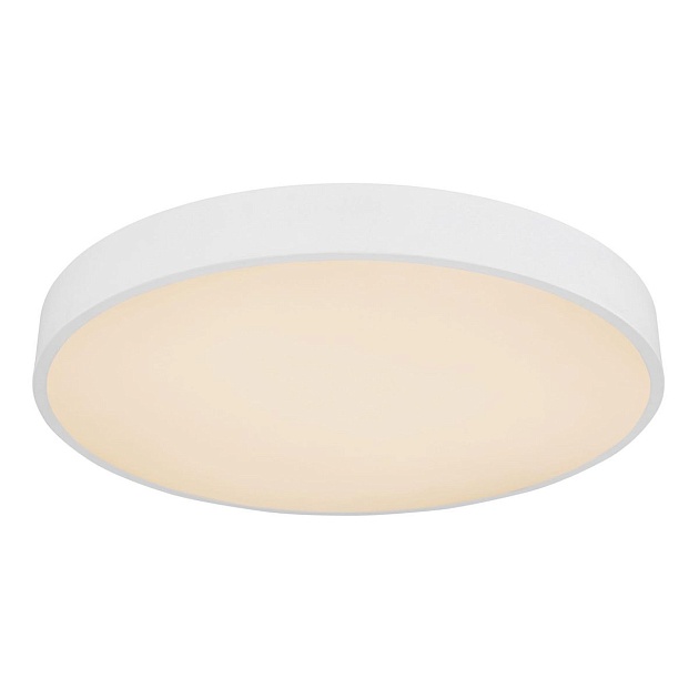 Потолочный светодиодный светильник Globo Leanara 41756-36W Фото № 1