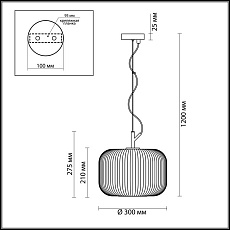 Подвесной светильник Odeon Light Pendant Roofi 4754/1 5