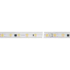 Светодиодная влагозащищенная лента Arlight 8W/m 54LED/m 5060SMD холодный белый 50M ARL-PV-B54-15.5mm 230V White6000 027056(2) 2