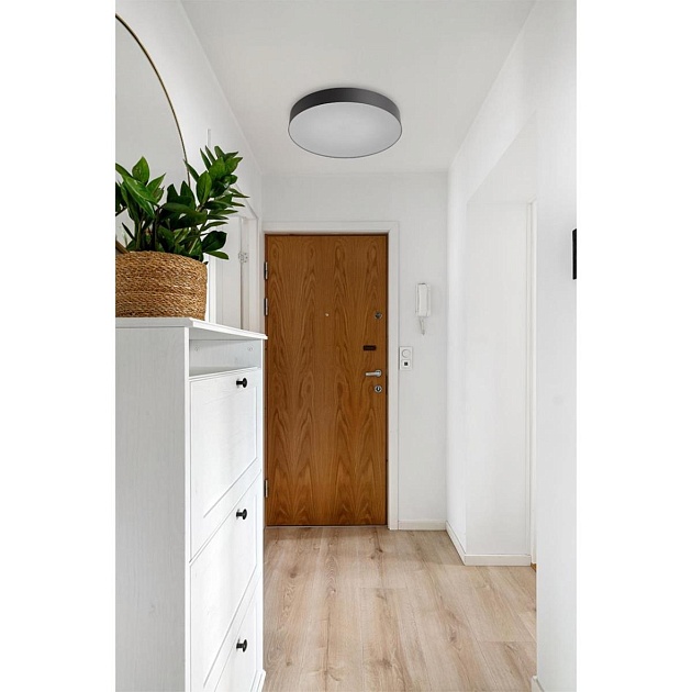 Настенно-потолочный светильник Sonex BASICA 7780/ELN Фото № 2