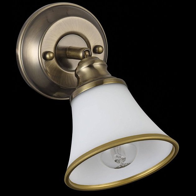 Спот Freya Jasinta FR2272-WL-01-BS Фото № 6