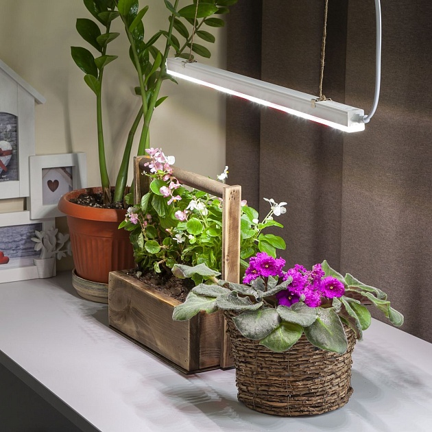 Подвесной светодиодный светильник для растений ЭРА Fito-9W-T5-Ra90 Б0049311 фото 8