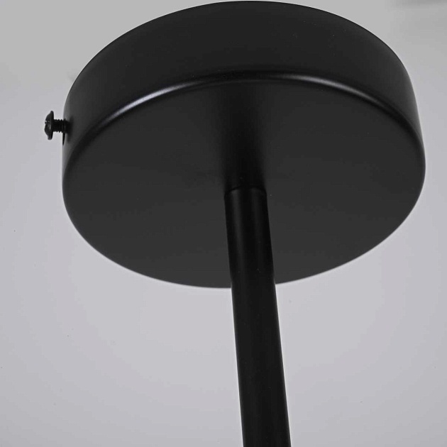 Подвесная люстра Imperium Loft RH Round 75147-22 Фото № 7