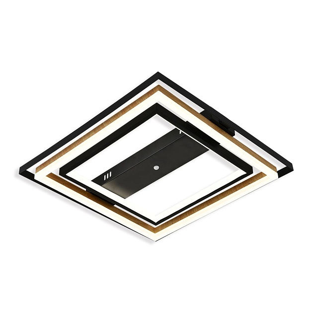 Потолочный светодиодный светильник Escada Lagom 10249/2LED изображение 4 Потолочный светодиодный светильник Escada Lagom 10249/2LED Фото № 4