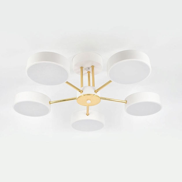 Потолочная светодиодная люстра Escada Rune 10262/5LED Фото № 6
