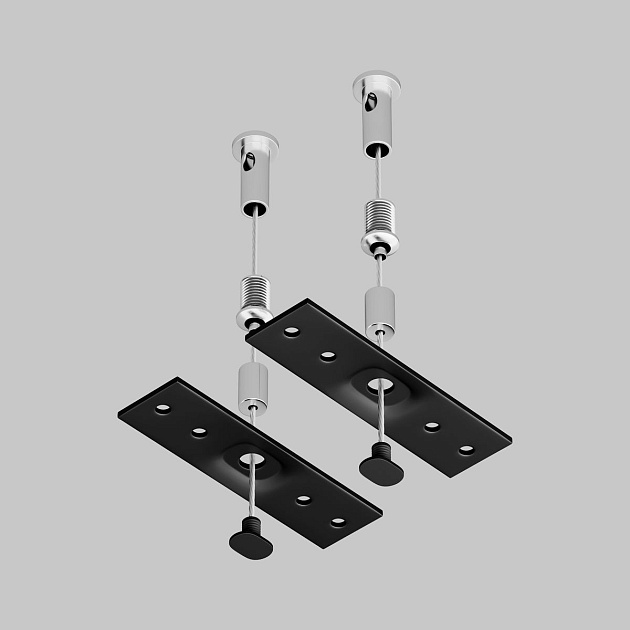 Подвес Maytoni Technical Exility Busbur TRA034SW-2B Фото № 1
