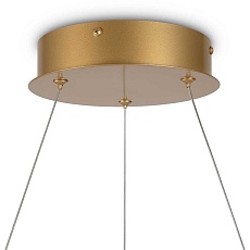 Подвесной светодиодный светильник Maytoni Nola MOD100PL-L47BSK1 1
