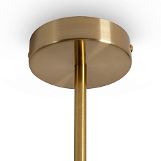 Подвесной светильник Freya Essence FR5490CL-01BS 2