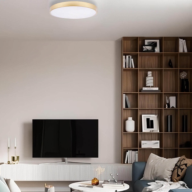 Потолочный светодиодный светильник Loft IT Flims 10228/A изображение 5 Потолочный светодиодный светильник Loft IT Flims 10228/A Фото № 5