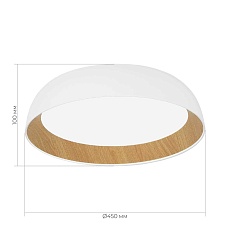 Потолочный светильник Evoluce Мьюзе SLE1812-502-01 1