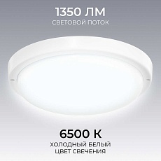 Светильник светодиодный герметичный OGM О28-10 5