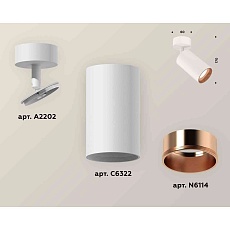 Комплект накладного светильника Ambrella light Techno Spot XM6322005 SWH/PPG белый песок/золото розовое полированное (A2202, C6322, N6114) 1