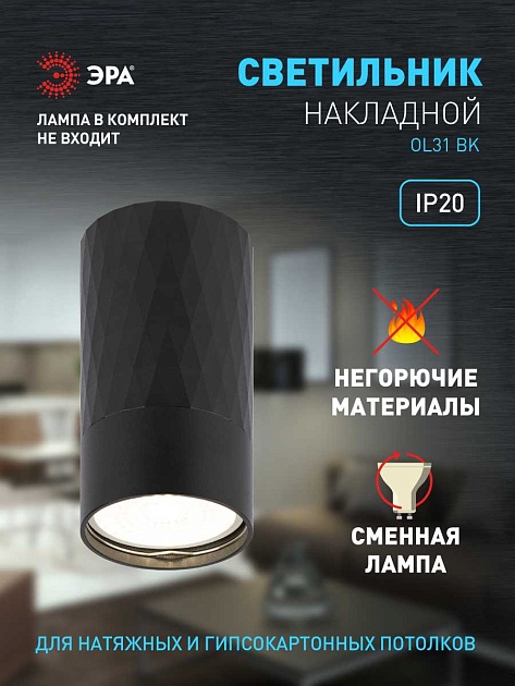 Настенно-потолочный светильник ЭРА OL31 BK Б0056374 изображение 2 Настенно-потолочный светильник ЭРА OL31 BK Б0056374 Фото № 2