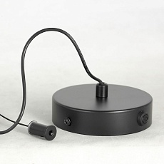 Подвесной светодиодный светильник Lussole Loft LSP-7015 2