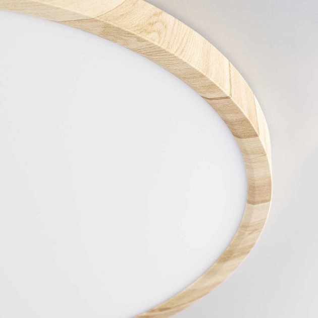 Потолочный светильник Citilux Бейсик Клен CL738322V Фото № 13