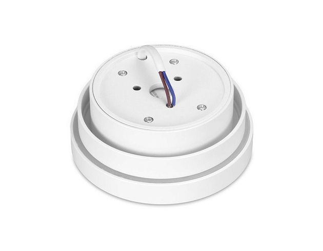 Потолочный светильник Ambrella light Techno Spot TN601 Фото № 2