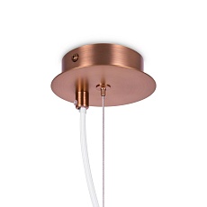Подвесной светильник Maytoni Erich MOD221-PL-01-G 2