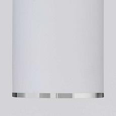 Потолочный светильник Elektrostandard DLN101 GU10 WH белый a043967 2