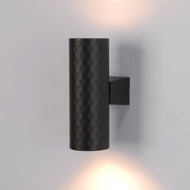 Уличный настенный светильник Arte Lamp Hyadum A3458AL-2BK Фото № 2