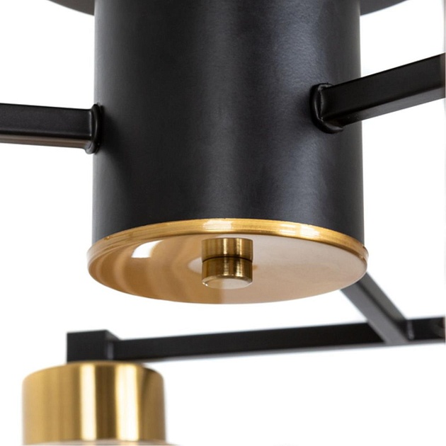 Потолочная люстра Arte Lamp Leo A7027PL-6BK изображение 2 Потолочная люстра Arte Lamp Leo A7027PL-6BK Фото № 2