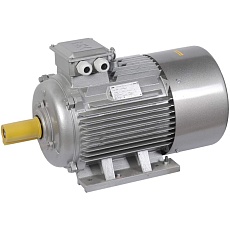 Электродвигатель асинхронный трехфазный АИР 225M4 660В 55кВт 1500об/мин 1081 DRIVE IEK DRV225-M4-055-0-1510