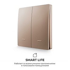 Выключатель кинетический двухклавишный Smart Apeyron 04-76 5