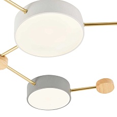 Потолочный светильник Evoluce DOSSENA SLE600102-06 2