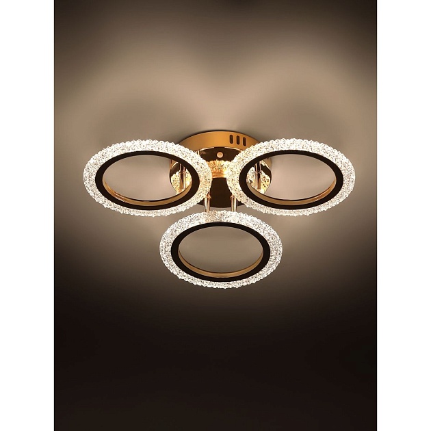 Потолочная светодиодная люстра Rivoli Evlalia 6178-703 Б0068399 Фото № 5