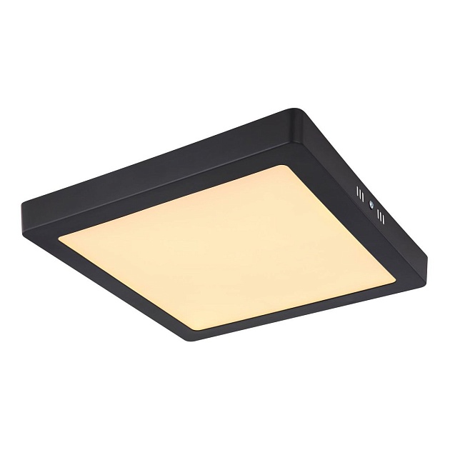 Потолочный светодиодный светильник Globo Dino 12374-24 Фото № 1