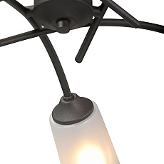 Потолочная люстра Vitaluce V2850-1/5PL 2