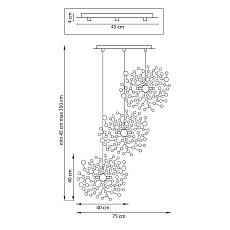 Комплект с подвесной люстрой Lightstar Extra (721134-3+572134-1) L3PR721134 1
