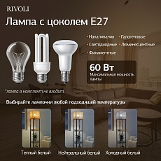 Торшер Rivoli Anda 7091-601 Б0071552 2