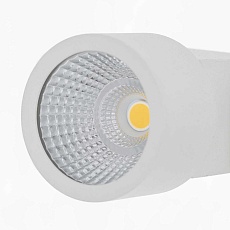 Потолочный светодиодный светильник Citilux Дубль CL556100 1