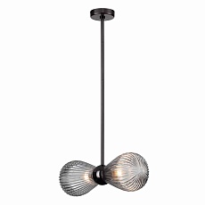 Подвесная люстра Odeon Light Exclusive Elica 5417/2 3