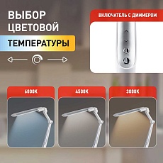Настольная лампа ЭРА NLED-496-12W-S Б0052768 1