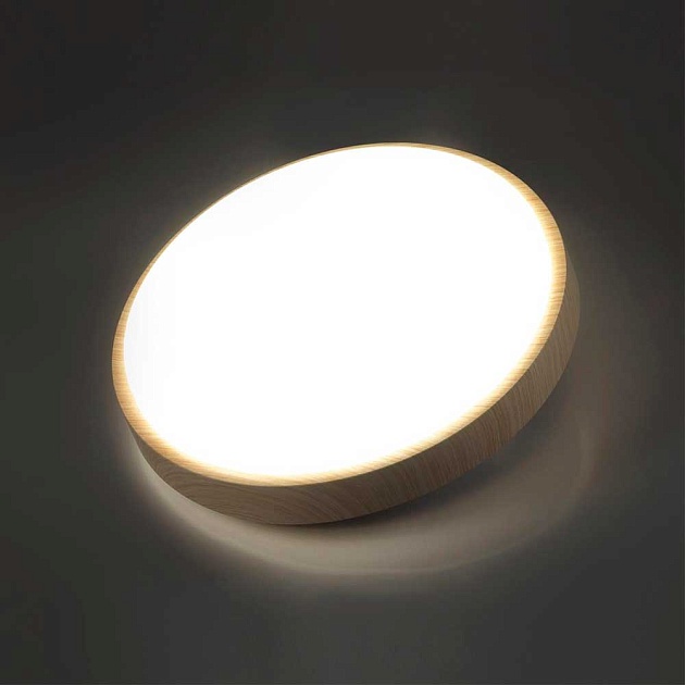 Настенно-потолочный светодиодный светильник Sonex Losta 7607/CL фото 4